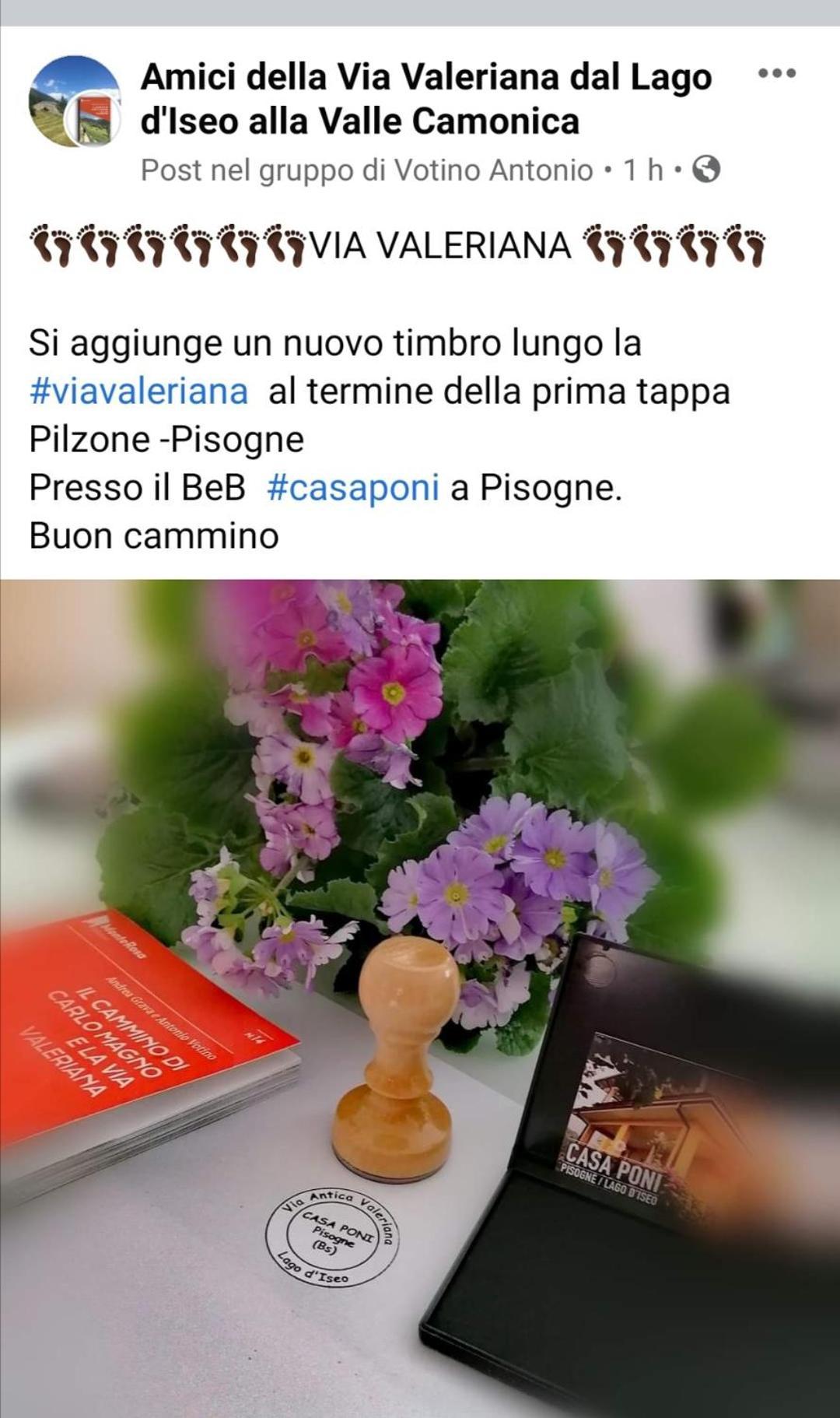 فيلا Casa Poni بيسوني الغرفة الصورة